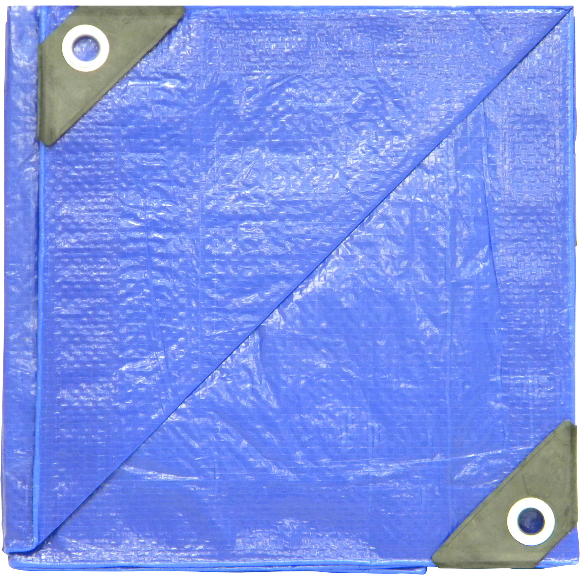 Dize Poly Tarp, Blue, 18ft. x 24ft., Model# PT1824